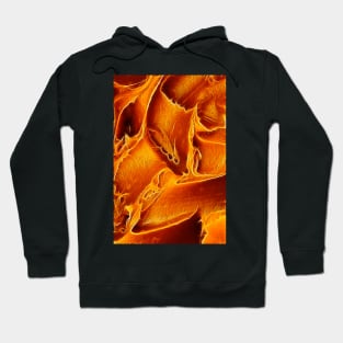 Peanut Butter Macro Hoodie